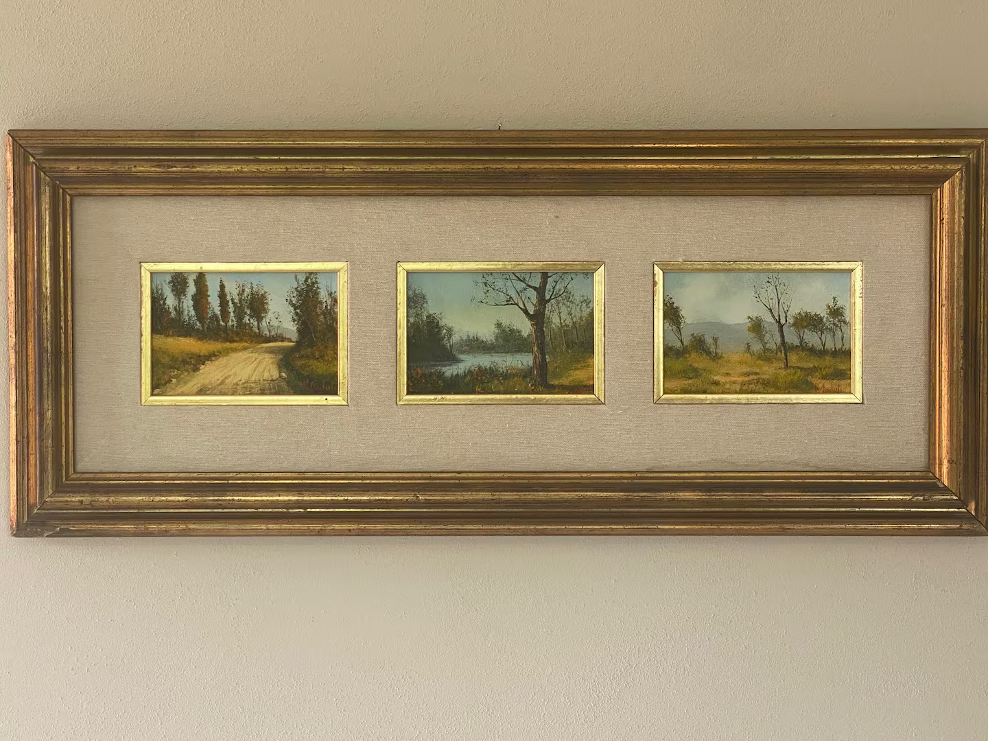Framed Landscape Art